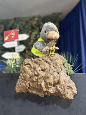 Der heimliche Star: Maulwurf Digger
